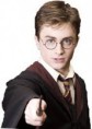 guilherme potter de oliveira